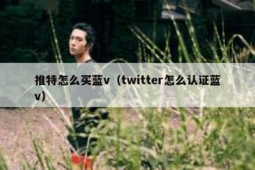 推特怎么买蓝v（twitter怎么认证蓝v）