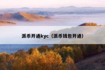 派币开通kyc（派币钱包开通）