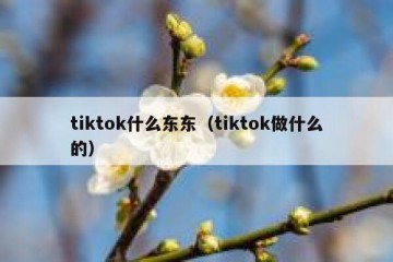 tiktok什么东东（tiktok做什么的）