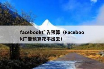 facebook广告预算（Facebook广告预算花不出去）