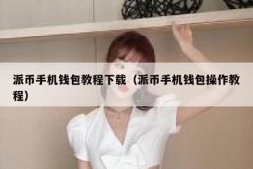 派币手机钱包教程下载（派币手机钱包操作教程）