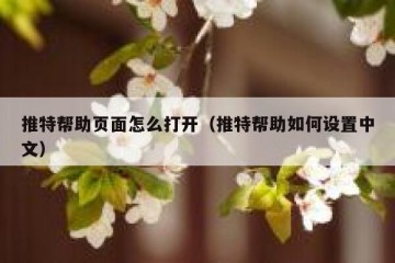 推特帮助页面怎么打开（推特帮助如何设置中文）