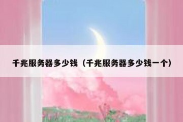 千兆服务器多少钱（千兆服务器多少钱一个）