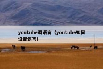 youtube调语言（youtube如何设置语言）