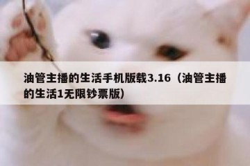 油管主播的生活手机版载3.16（油管主播的生活1无限钞票版）