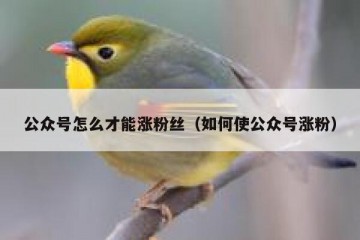 公众号怎么才能涨粉丝（如何使公众号涨粉）