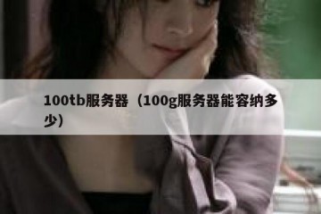 100tb服务器（100g服务器能容纳多少）