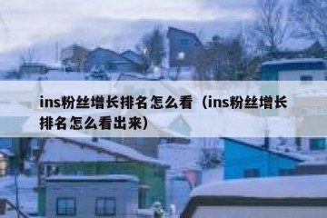 ins粉丝增长排名怎么看（ins粉丝增长排名怎么看出来）