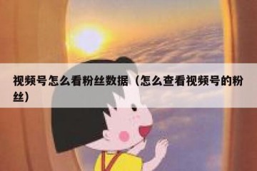 视频号怎么看粉丝数据（怎么查看视频号的粉丝）