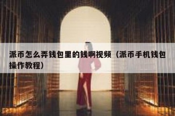 派币怎么弄钱包里的钱啊视频（派币手机钱包操作教程）
