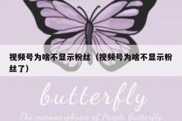 视频号为啥不显示粉丝（视频号为啥不显示粉丝了）