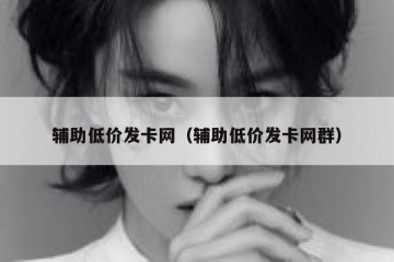 辅助低价发卡网（辅助低价发卡网群）