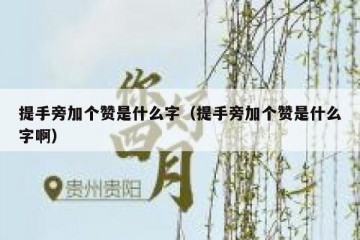 提手旁加个赞是什么字（提手旁加个赞是什么字啊）