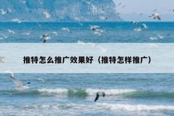 推特怎么推广效果好（推特怎样推广）