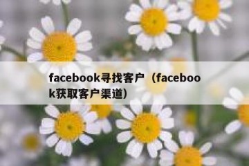 facebook寻找客户（facebook获取客户渠道）