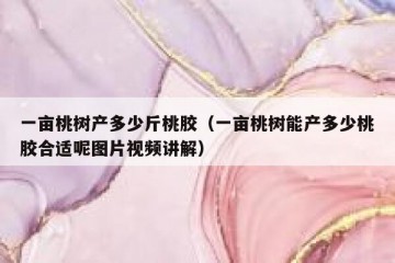 一亩桃树产多少斤桃胶（一亩桃树能产多少桃胶合适呢图片视频讲解）