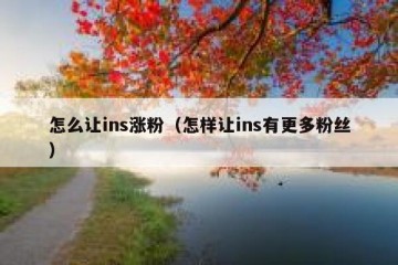 怎么让ins涨粉（怎样让ins有更多粉丝）