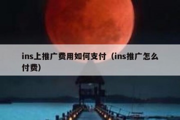 ins上推广费用如何支付（ins推广怎么付费）