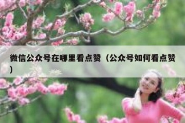 微信公众号在哪里看点赞（公众号如何看点赞）