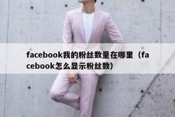 facebook我的粉丝数量在哪里（facebook怎么显示粉丝数）