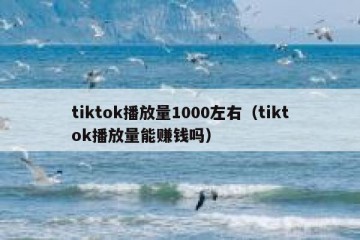 tiktok播放量1000左右（tiktok播放量能赚钱吗）