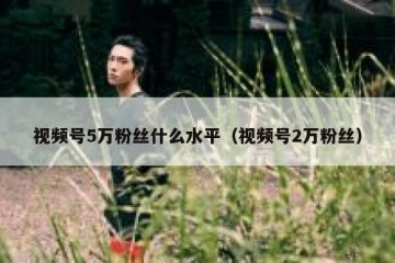 视频号5万粉丝什么水平（视频号2万粉丝）