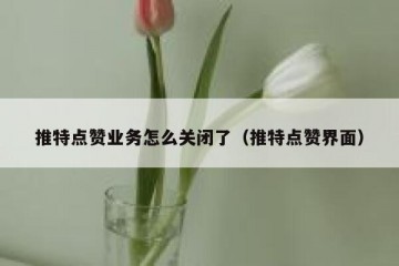 推特点赞业务怎么关闭了（推特点赞界面）