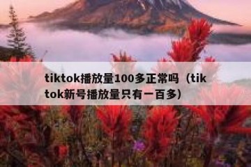 tiktok播放量100多正常吗（tiktok新号播放量只有一百多）