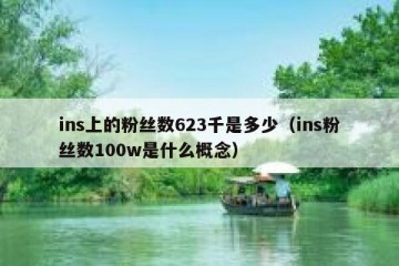 ins上的粉丝数623千是多少（ins粉丝数100w是什么概念）