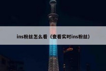 ins粉丝怎么看（查看实时ins粉丝）