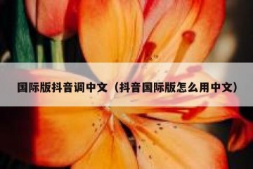国际版抖音调中文（抖音国际版怎么用中文）