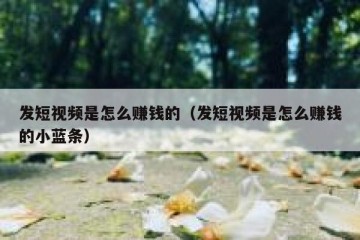 发短视频是怎么赚钱的（发短视频是怎么赚钱的小蓝条）