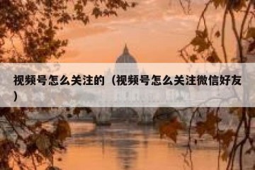 视频号怎么关注的（视频号怎么关注微信好友）