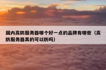 国内高防服务器哪个好一点的品牌有哪些（高防服务器真的可以防吗）