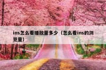 ins怎么看播放量多少（怎么看ins的浏览量）