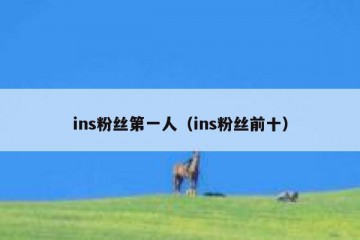 ins粉丝第一人（ins粉丝前十）