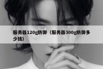 服务器120g防御（服务器300g防御多少钱）