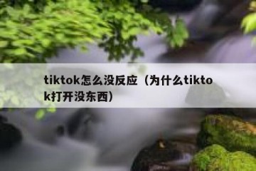 tiktok怎么没反应（为什么tiktok打开没东西）