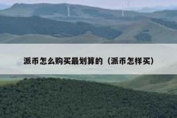 派币怎么购买最划算的（派币怎样买）