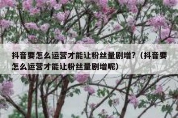 抖音要怎么运营才能让粉丝量剧增?（抖音要怎么运营才能让粉丝量剧增呢）