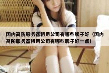 国内高防服务器租用公司有哪些牌子好（国内高防服务器租用公司有哪些牌子好一点）