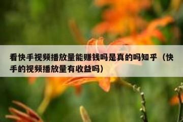 看快手视频播放量能赚钱吗是真的吗知乎（快手的视频播放量有收益吗）