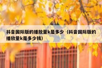 抖音国际版的播放量k是多少（抖音国际版的播放量k是多少钱）
