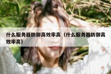 什么服务器防御高效率高（什么服务器防御高效率高）
