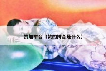 赞加拼音（赞的拼音是什么）