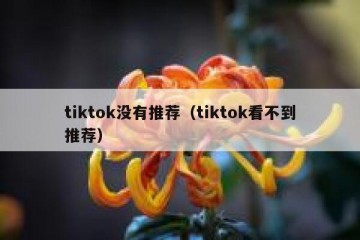 tiktok没有推荐（tiktok看不到推荐）