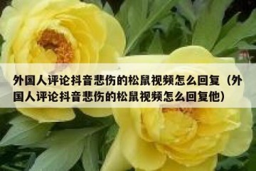 外国人评论抖音悲伤的松鼠视频怎么回复（外国人评论抖音悲伤的松鼠视频怎么回复他）