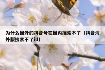 为什么国外的抖音号在国内搜索不了（抖音海外版搜索不了id）
