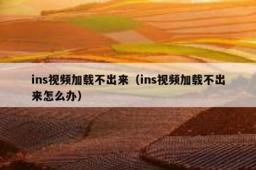 ins视频加载不出来（ins视频加载不出来怎么办）