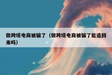 做跨境电商被骗了（做跨境电商被骗了能追回来吗）